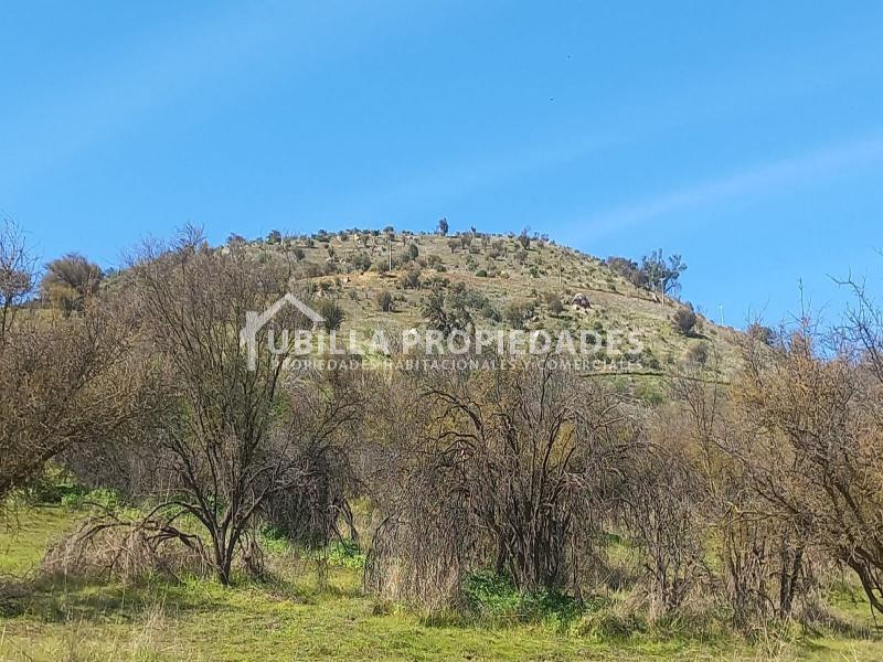 Venta de Venta Parcela Agrícola en Condominio - Condominio Alhue - Curacavi.