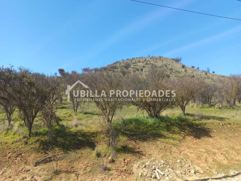 Venta de Venta Parcela Agrícola en Condominio - Condominio Alhue - Curacavi.